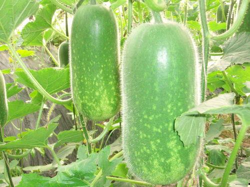 永年大瓜爆料网红视频,网红视频揭秘惊人内幕 第1张 永年大瓜爆料网红视频,网红视频揭秘惊人内幕 第1张